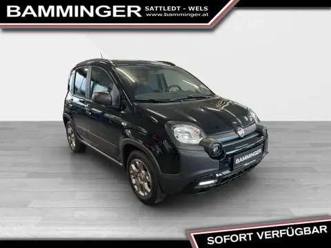 Annonce FIAT PANDA Essence 2022 d'occasion 