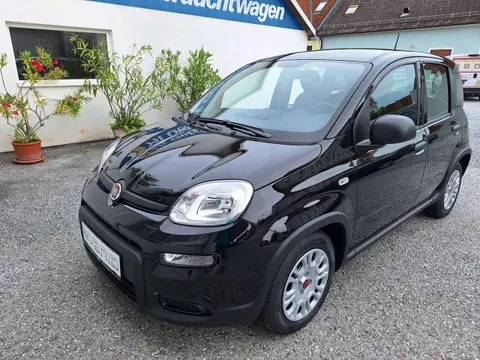 Annonce FIAT PANDA Hybride 2024 d'occasion 