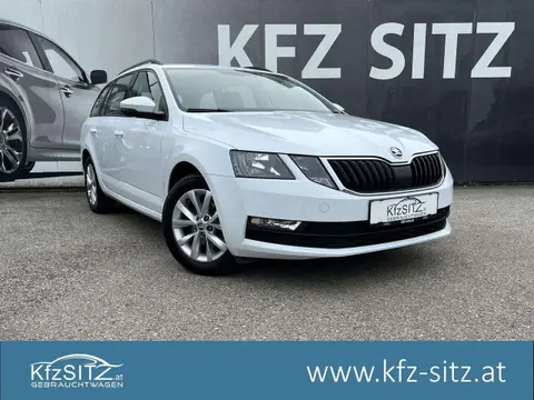 Annonce SKODA OCTAVIA Diesel 2019 d'occasion 