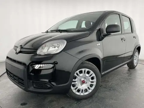 Used FIAT PANDA Petrol 2024 Ad 