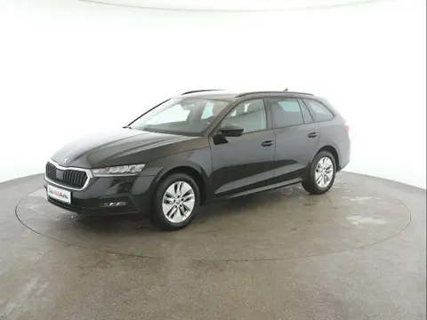 Used SKODA OCTAVIA Diesel 2021 Ad 