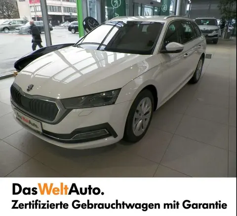 Used SKODA OCTAVIA Diesel 2024 Ad 