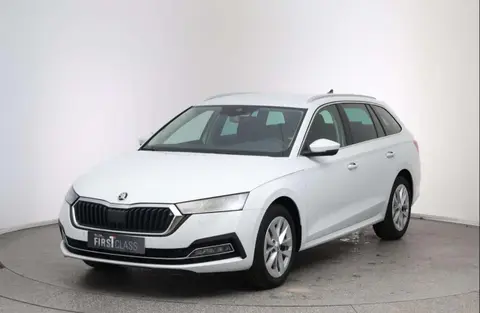 Annonce SKODA OCTAVIA Diesel 2024 d'occasion 