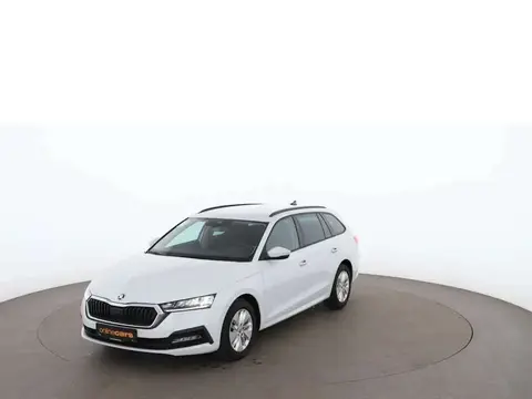 Used SKODA OCTAVIA Diesel 2020 Ad 