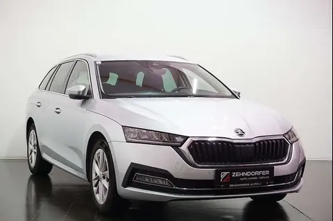 Annonce SKODA OCTAVIA Diesel 2020 d'occasion 