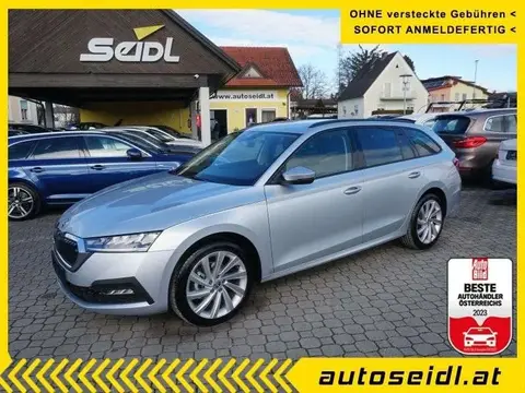 Annonce SKODA OCTAVIA Diesel 2024 d'occasion 