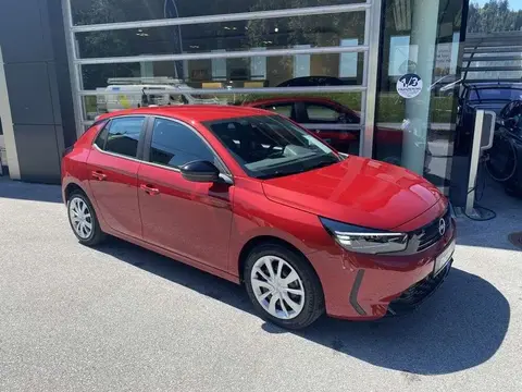 Annonce OPEL CORSA Essence 2024 d'occasion 