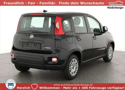 Used FIAT PANDA Petrol 2024 Ad 