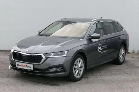 Annonce SKODA OCTAVIA Diesel 2023 d'occasion 