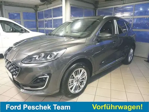 Used FORD KUGA Hybrid 2022 Ad 