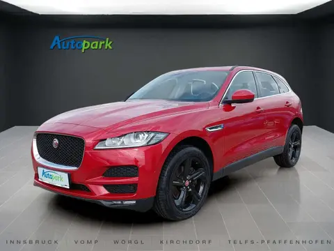 Used JAGUAR F-PACE Petrol 2019 Ad 