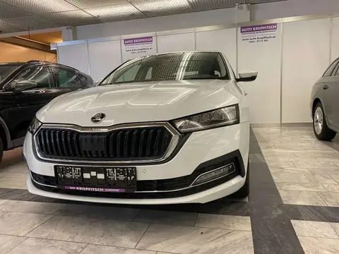 Annonce SKODA OCTAVIA Diesel 2024 d'occasion 