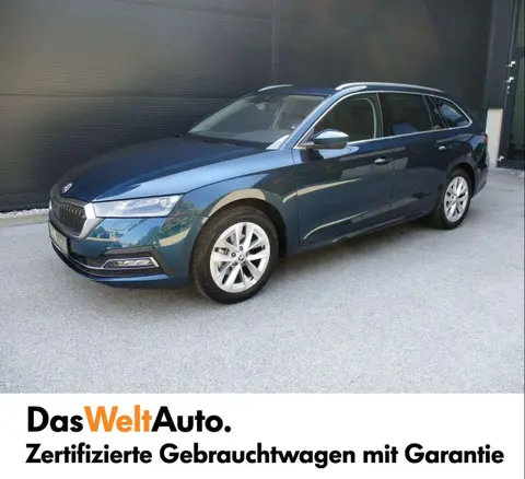 Annonce SKODA OCTAVIA Diesel 2024 d'occasion 