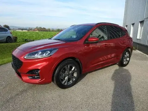 Used FORD KUGA Petrol 2020 Ad 