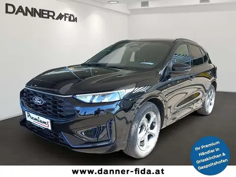 Annonce FORD KUGA Essence 2024 d'occasion 