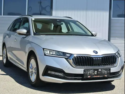 Annonce SKODA OCTAVIA Diesel 2022 d'occasion 