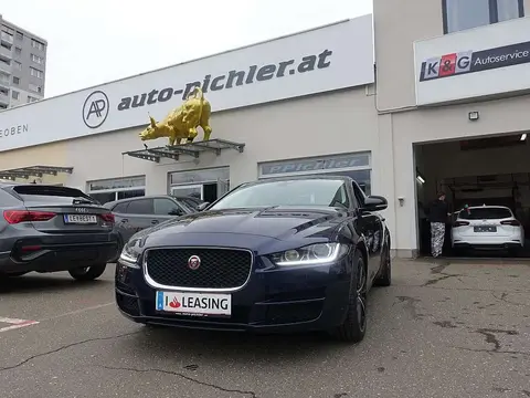 Annonce JAGUAR XE Diesel 2016 d'occasion 