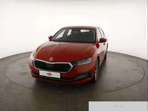 Annonce SKODA OCTAVIA Diesel 2021 d'occasion 