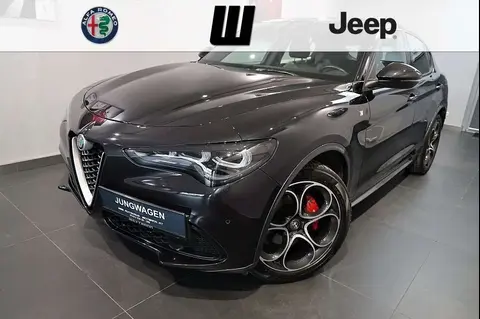 Annonce ALFA ROMEO STELVIO Diesel 2023 d'occasion 