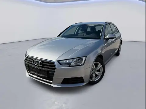 Annonce AUDI A4 Diesel 2019 d'occasion 