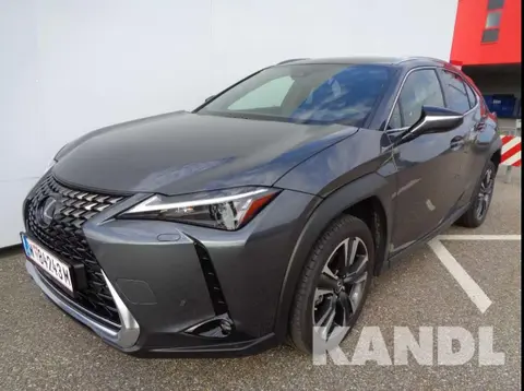 Annonce LEXUS UX Hybride 2024 d'occasion 