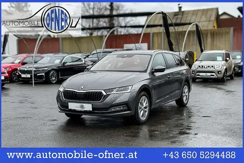 Used SKODA OCTAVIA Diesel 2024 Ad 