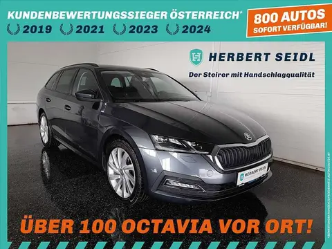 Used SKODA OCTAVIA Diesel 2021 Ad 