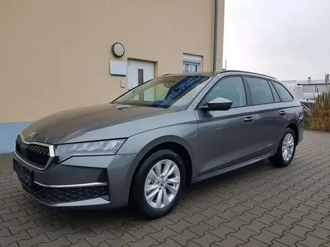 Annonce SKODA OCTAVIA Essence 2024 d'occasion 