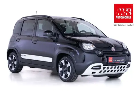 Used FIAT PANDA Petrol 2024 Ad 