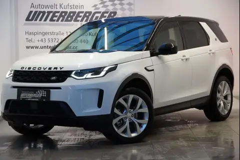 Annonce LAND ROVER DISCOVERY Diesel 2024 d'occasion 