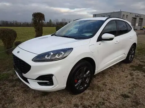 Used FORD KUGA Hybrid 2022 Ad 