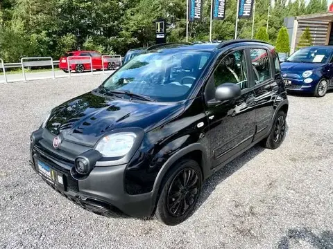 Used FIAT PANDA Hybrid 2020 Ad 