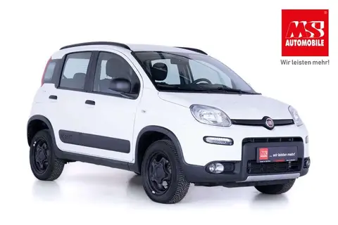 Annonce FIAT PANDA Essence 2018 d'occasion 