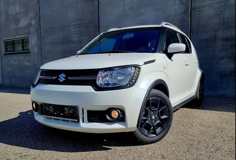 Used SUZUKI IGNIS Petrol 2017 Ad 