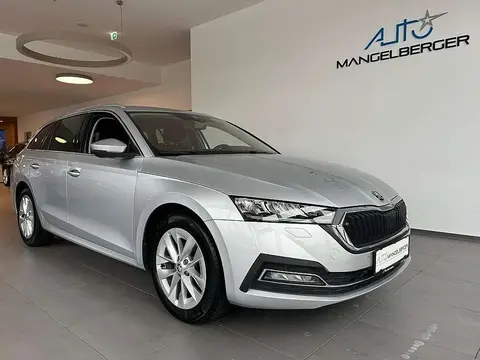 Used SKODA OCTAVIA Diesel 2020 Ad 