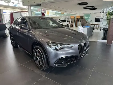 Used ALFA ROMEO STELVIO Diesel 2024 Ad 