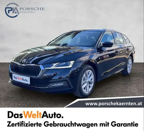 Annonce SKODA OCTAVIA Diesel 2024 d'occasion 