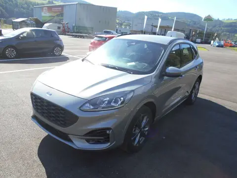 Annonce FORD KUGA Hybride 2024 d'occasion 