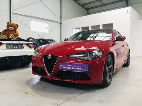 Used ALFA ROMEO GIULIA Diesel 2017 Ad 