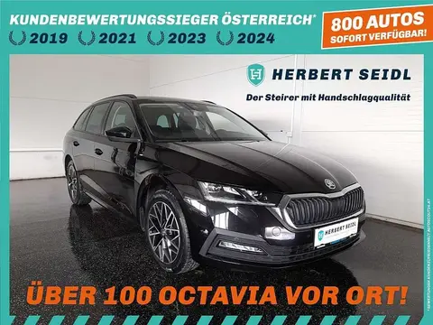 Annonce SKODA OCTAVIA Diesel 2021 d'occasion 