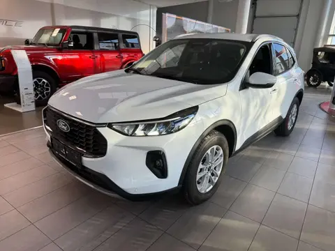 Annonce FORD KUGA Hybride 2024 d'occasion 