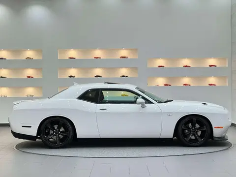 Used DODGE CHALLENGER Petrol 2015 Ad 