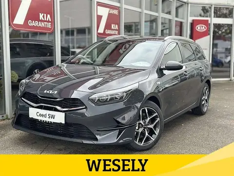 Used KIA CEED Hybrid 2024 Ad 