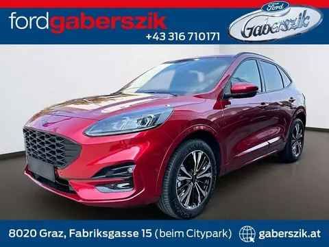 Annonce FORD KUGA Diesel 2024 d'occasion 