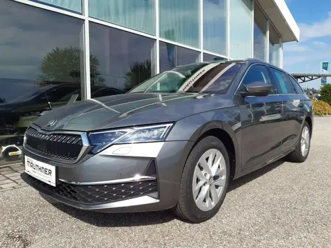 Used SKODA OCTAVIA Diesel 2024 Ad 