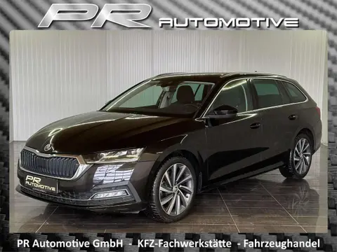 Used SKODA OCTAVIA Diesel 2020 Ad 