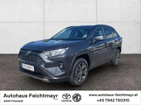 Used TOYOTA RAV4 Hybrid 2024 Ad 