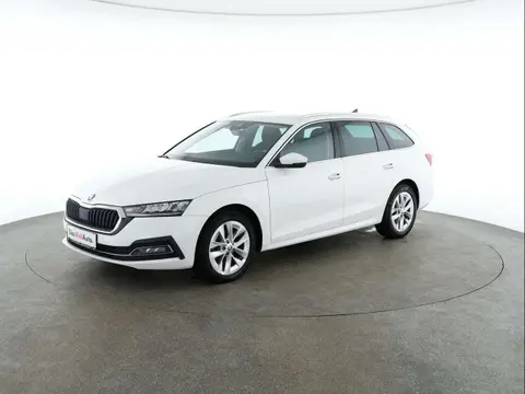 Annonce SKODA OCTAVIA Diesel 2021 d'occasion 