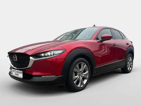 Used MAZDA CX-30 Petrol 2020 Ad 