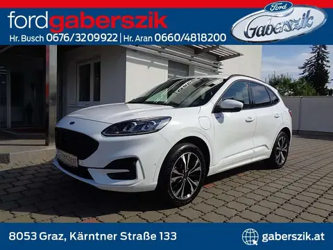 Used FORD KUGA Hybrid 2022 Ad 